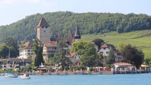 Spiez Workshop Resources updated