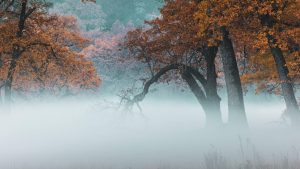 The need to manage when you’re “just about managing” – make sure to “take a break”