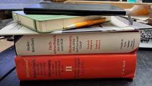 What are the values of an Expert in the Lead?