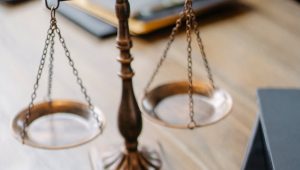Navigating your way through EU legal acts for translators