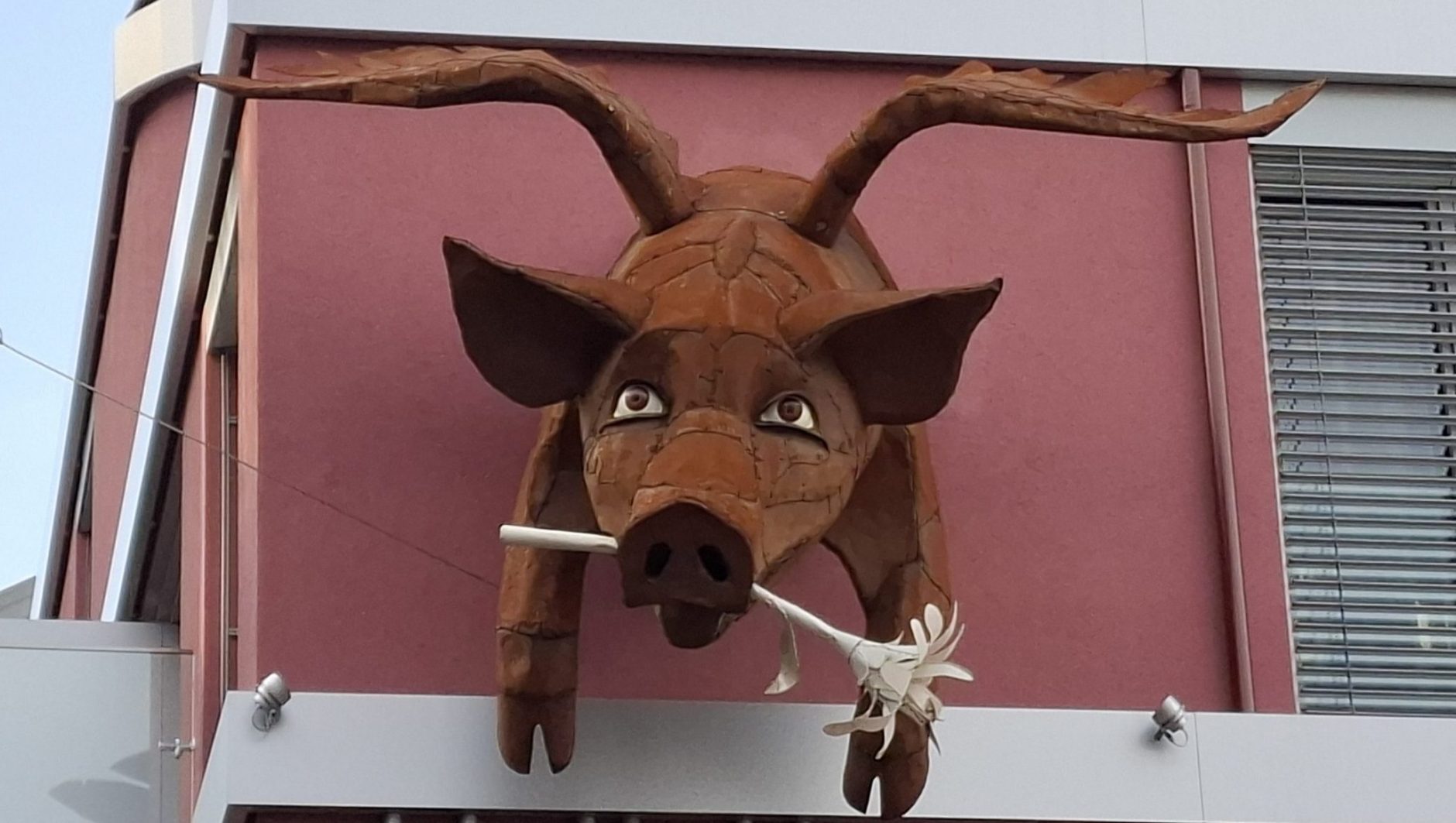 Flying pig - 18th district Vienna