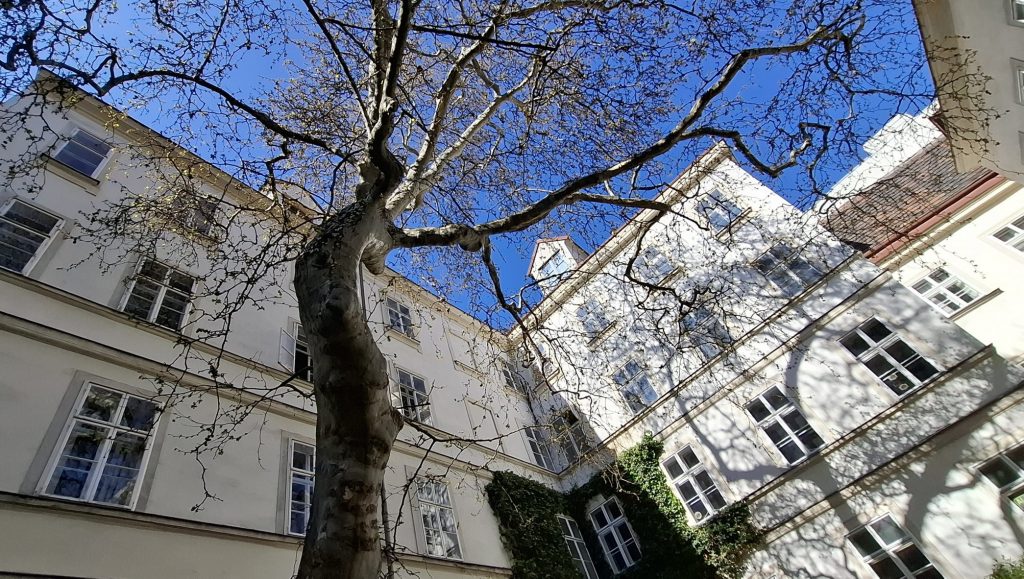Spring in the Hof off Singerstrasse