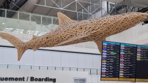 Beware of sharks? Translation agencies